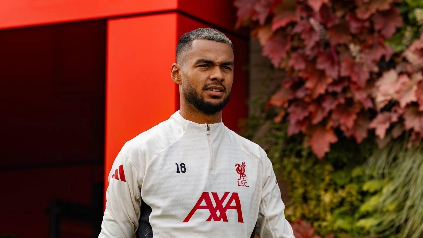 胜利拉开新, 来的, 备竞争力