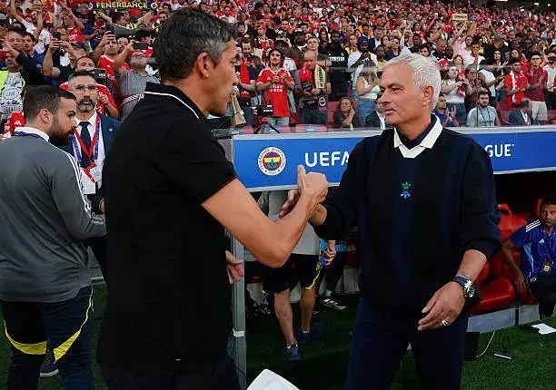 里尼奥, 的支持率, msn