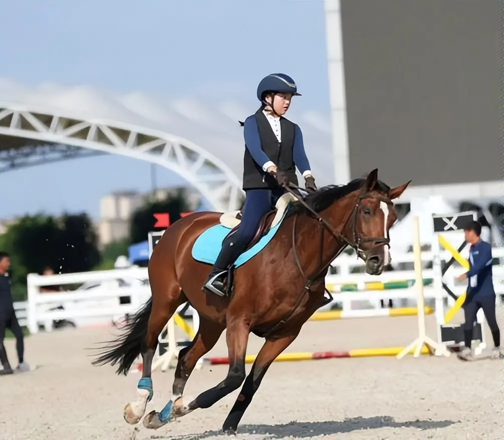 少年马术赛, 本次比赛由, AA