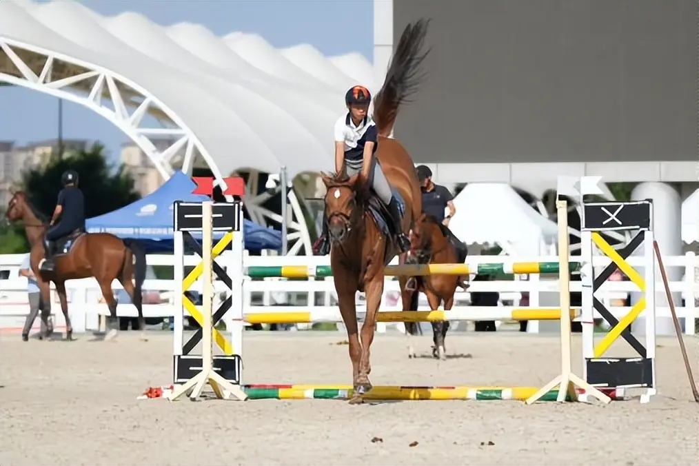 人才培养, 局主办, 场进行